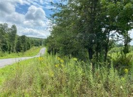 30+/-acres unrestricted. This is a beautiful lot that has a seasonal creek the runs through the property.