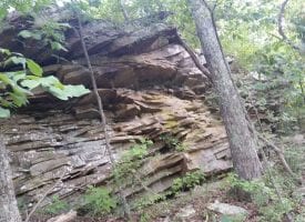 40.22+/-acres Unrestricted secluded property that has beautiful bluff views