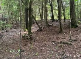 5.00+/-acres Unrestricted Wooded property with year round creek