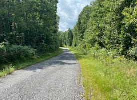 5.00+/-acres Unrestricted Wooded property with year round creek