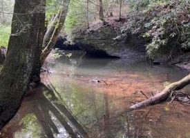 5.00+/-acres Unrestricted Wooded property with year round creek that has electricity at the road and Well already installed