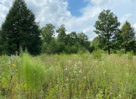 5.00+/-acres Unrestricted Wooded property with year round creek that has electricity at the road and Well already installed