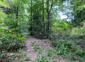 5.04+/-acres Unrestricted Wooded property with year round creek that has electricity at the road
