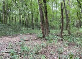 49.46+/-acres Beautiful riverfront property with a mixture of hardwoods and pasture.