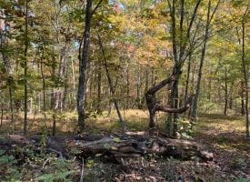 149+/-acres with approximately 3400 feet of bluff frontage overlooking the Sequatchie Cove wilderness area