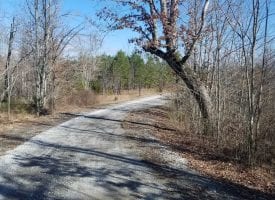 12.7+/-acres nice wooded tract. There is a nice building site with a creek at the back of the property.