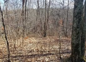 12.7+/-acres nice wooded tract. There is a nice building site with a creek at the back of the property.