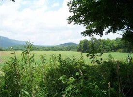 10.86+/-acres. This is a large 10 acre tract of waterfront on the TN River.