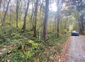 5.00+/-acres of wooded property near South Pittsburg/Kimball, TN