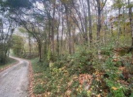 5.00+/-acres of wooded property near South Pittsburg/Kimball, TN