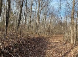 63+/- acres of off the Grid Hunting property
