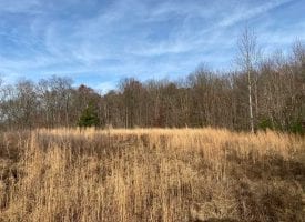 63+/- acres perfect for Hunting or to park a camper and enjoy the nature surrounding you.