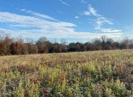 6.79+/-acres located on the Tennessee River.