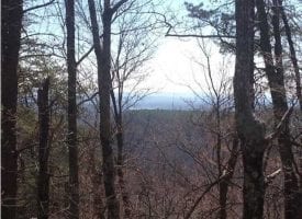 77.64+/-acres Bordering protective State Park