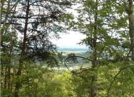 77.64+/-acres Bordering protective State Park