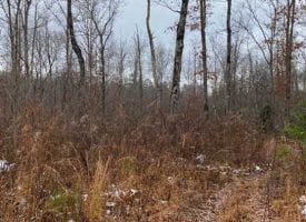 : 6.60+/-acres Unrestricted Wooded property