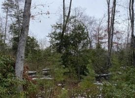 5.51+/-acres Unrestricted Wooded property with year round creek