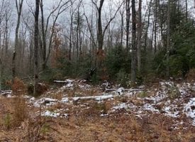 5.34+/-acres Unrestricted Wooded property with year round creek.
