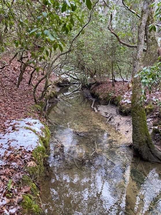 5.00+/acres Unrestricted Wooded property with year round creek