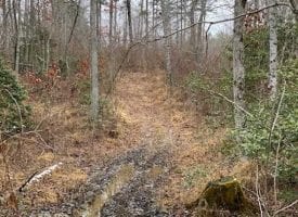 5.00+/-acres Unrestricted Wooded property with year round creek.