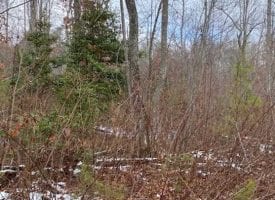 13.55+/-acres Unrestricted Wooded property with year round creek