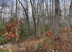15.62+/-acres Unrestricted Wooded property with year round creek. Located on top of the Cumberland Plateau.