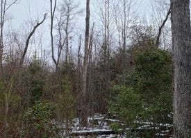 15.62+/-acres Unrestricted Wooded property with year round creek. Located on top of the Cumberland Plateau.