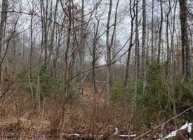 24.70+/-acres Unrestricted Wooded property with year round creek.