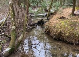 24.70+/-acres Unrestricted Wooded property with year round creek.