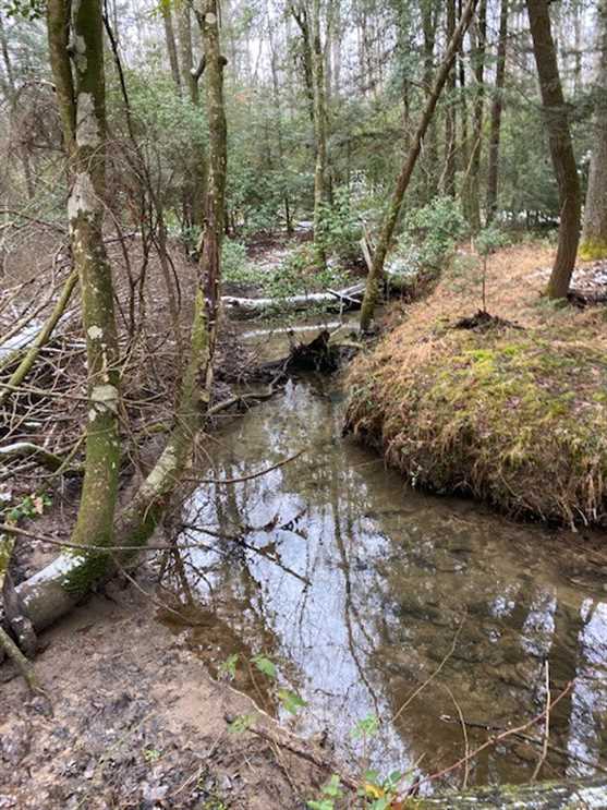 24.70+/acres Unrestricted Wooded property with year round creek. Mossy Oak Properties, Land