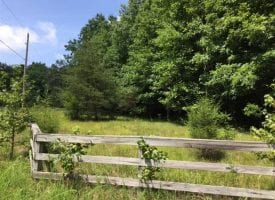 43.95+/- of beautiful all usable wooded acres. This property has nice large mature timber.