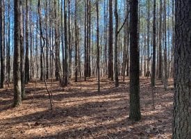 5.64+/-acres wooded property Near Sewanee, TN