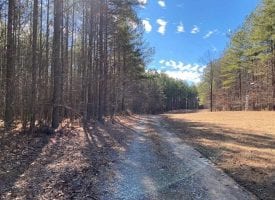 5.42+/-acres wooded property located on the Cumberland Plateau.