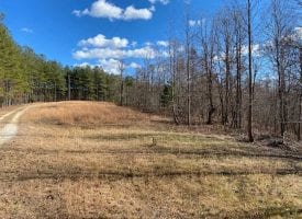 5.00+/-acres Wooded Property Near State Forest