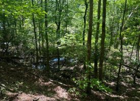 Over 2 acres in Cooley’s Rift