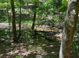 Over 2 acres in Cooley’s Rift