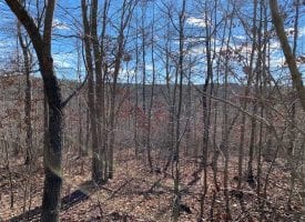 6.53+/-acres with View and small Waterfalls