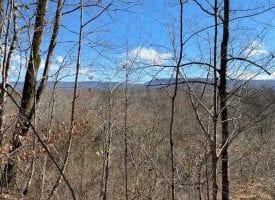 27+/-acres with over 1400 feet of frontage on the Sequatchie River.
