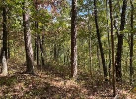 5.16+/-acres wooded bluff tract with breath taking views of the Tennessee Mountains.