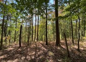 5.16+/-acres wooded bluff tract with breath taking views of the Tennessee Mountains.