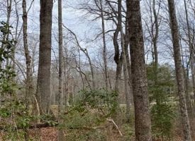 9+/-acres Unrestricted Wooded property with year round creek.