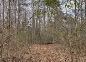 9+/-acres Unrestricted Wooded property with year round creek.