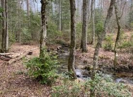 11+/-acres Unrestricted Wooded property with year round creek.