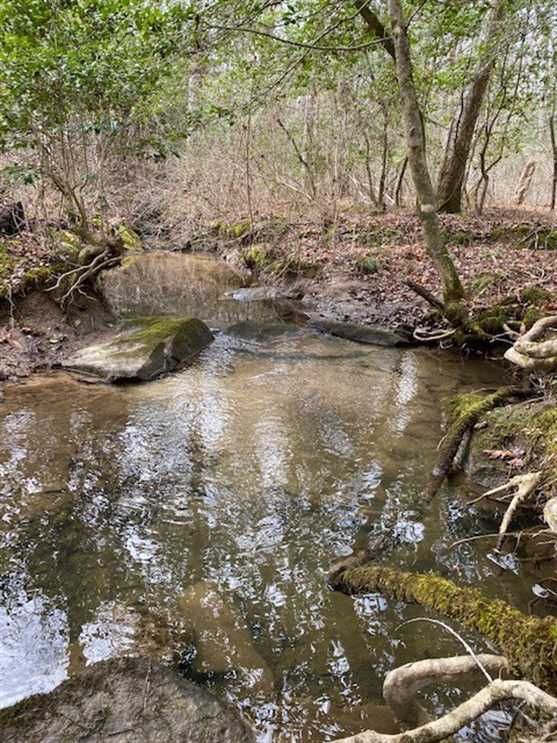 11+/acres Unrestricted Wooded property with year round creek. Mossy