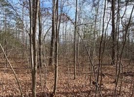 16.00+/-acres Unrestricted wooded property with views of the Sequatchie Valley.
