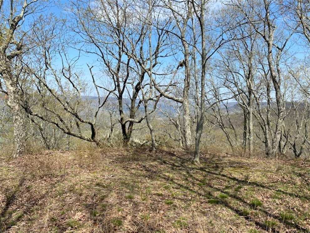 69.01+/acres located on top of the beautiful South Pittsburg Mountain