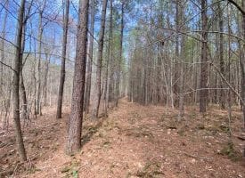 69.01+/-acres located on top of the beautiful South Pittsburg Mountain