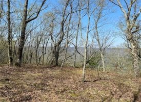69.01+/-acres located on top of the beautiful South Pittsburg Mountain