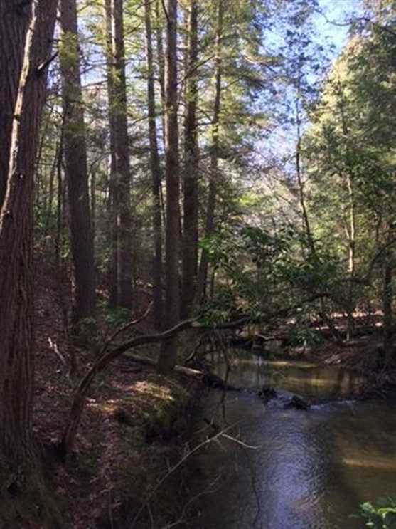 5.04+/acres with year round creek Mossy Oak Properties, Land Sales LLC.