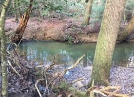 5.04+/-acres with year round creek